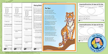'The Tiger' (based on 'The Tyger') – KS2 Conservation Poem